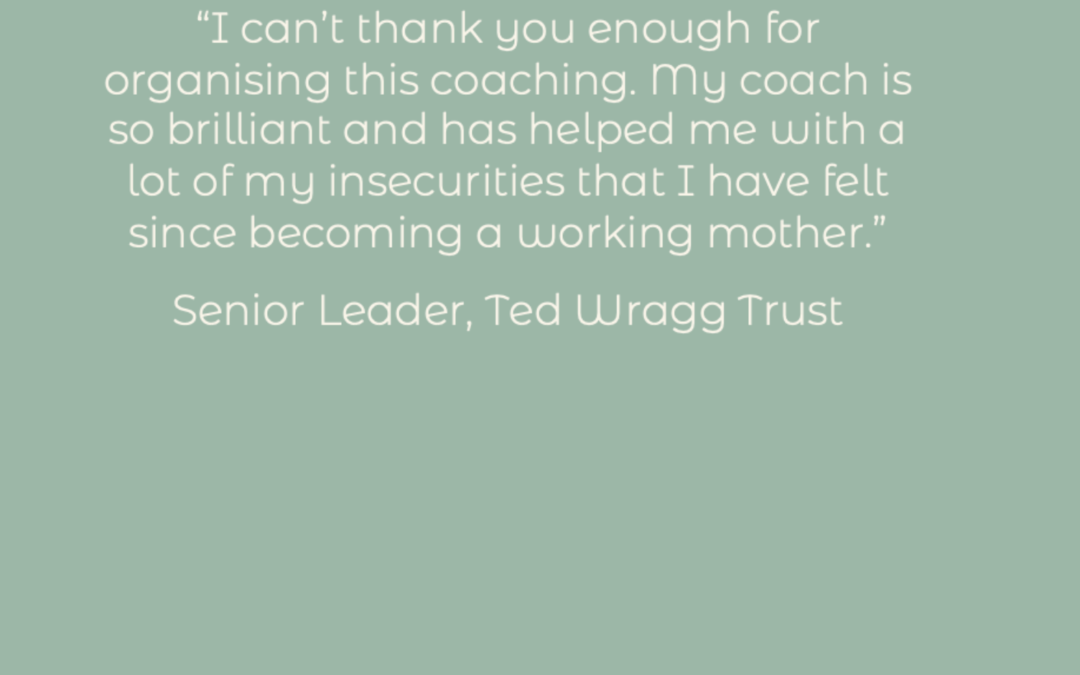 Supporting Working Parents with Ted Wragg Trust